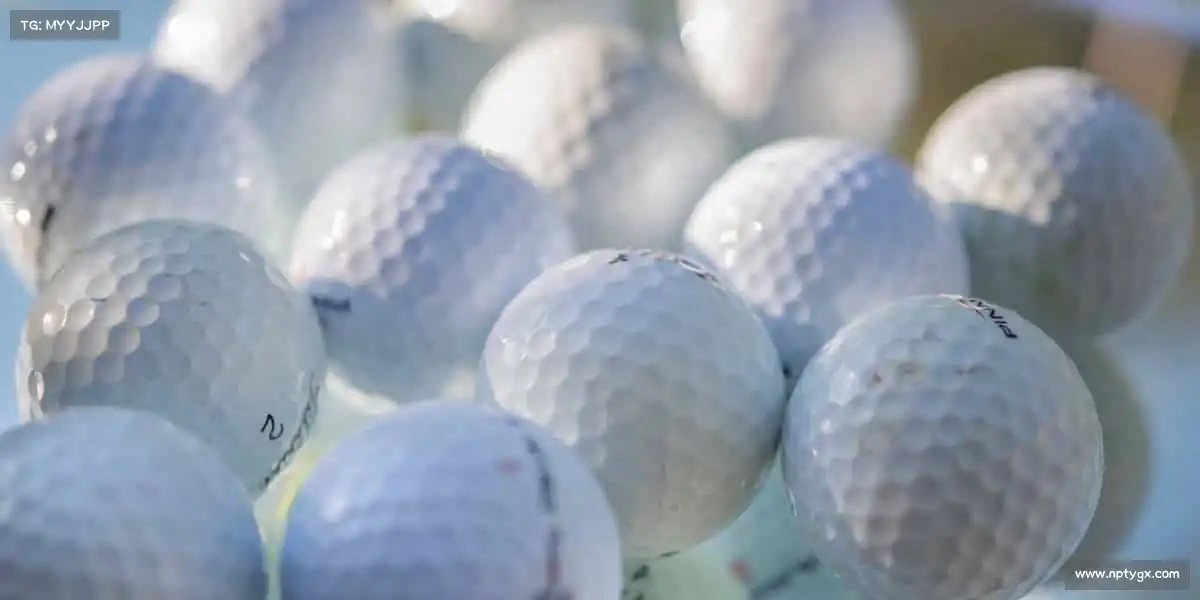 K1体育🧗‍♂️向上攀登，向下扎根，每一块岩石都是成长的印记 —— 你的巅峰，由你征服！